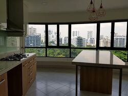 The Draycott (D10), Apartment #447489921